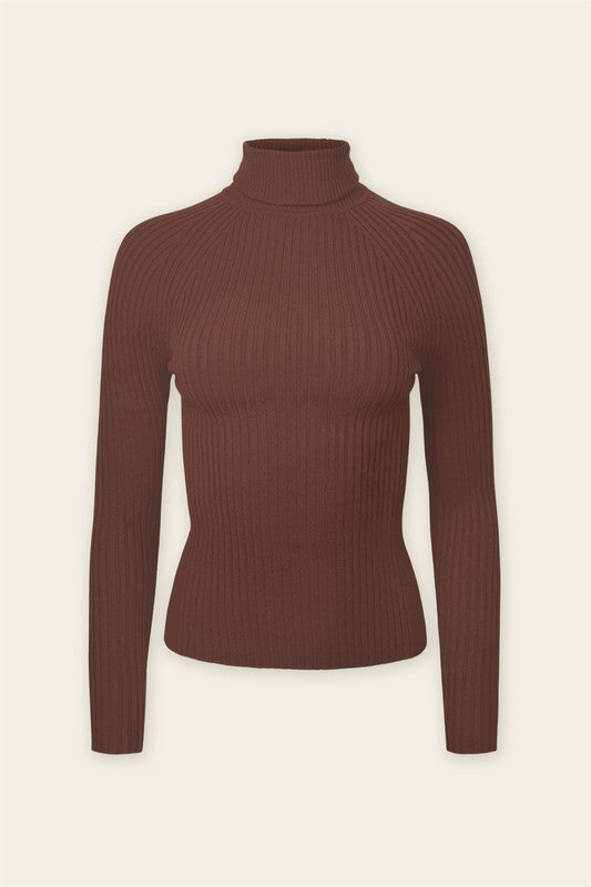 Turtleneck Long Sleeve Sweater